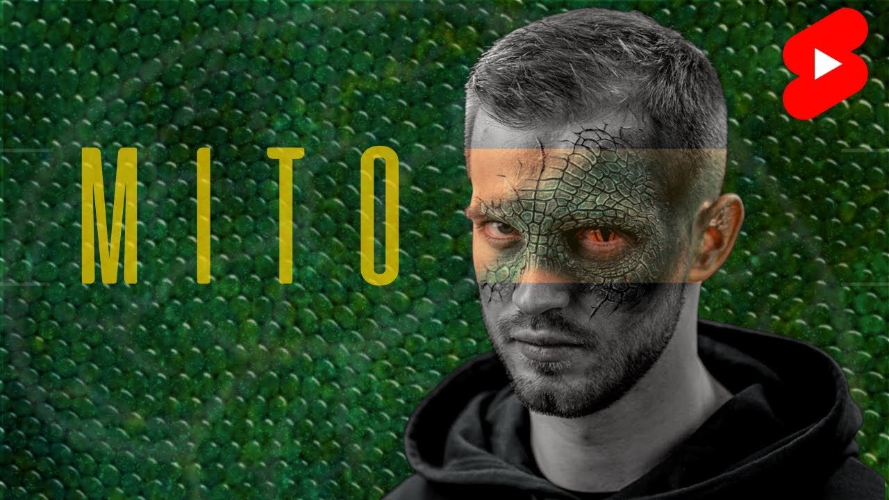 Cómo influye la iluminación en el comportamiento reptiliano en climas cálidos
