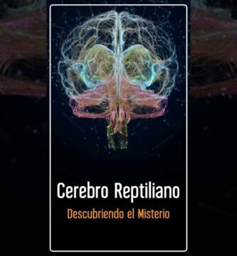 Cómo influye la iluminación en el comportamiento reptiliano explicado por veterinarios