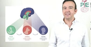 Cómo influye la iluminación en el comportamiento reptiliano según su especie