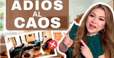 Cómo mantener limpia la casa de tu reptil paso a paso