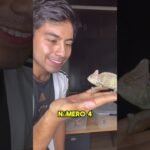 Comportamientos de defensa más comunes en reptiles mascota en época de muda