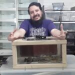 Consejos para mantener la temperatura ideal del terrario sin cometer errores