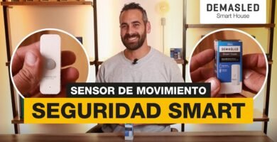 Decoraciones seguras para el hogar de tu reptil con sensores inteligentes