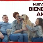 Decoraciones seguras para el hogar de tu reptil según normas de bienestar animal