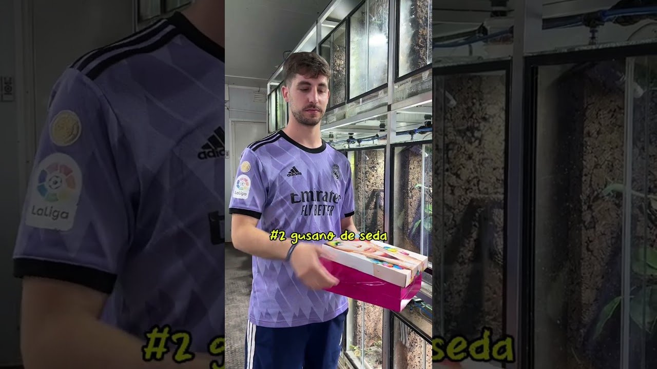 Frecuencia ideal de alimentación en reptiles domésticos recomendada por expertos en reptiles
