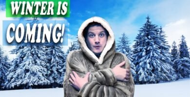 Guía completa para la alimentación saludable de reptiles durante el invierno