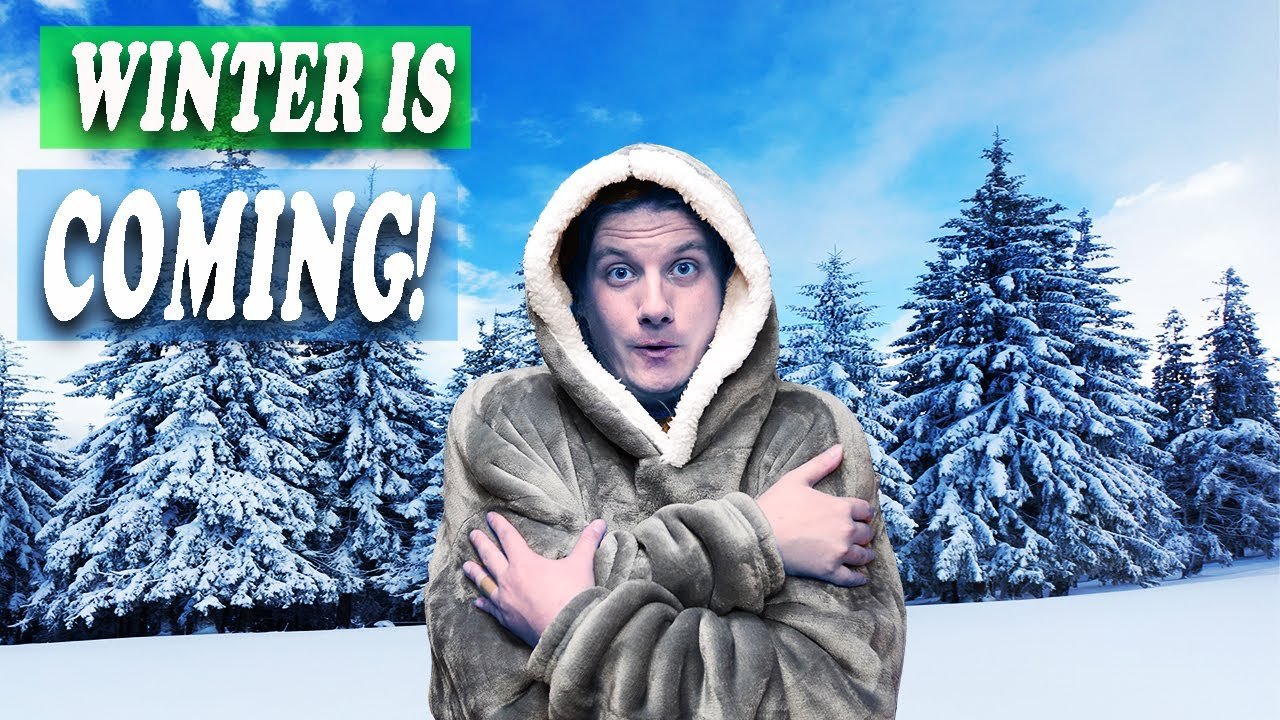 Guía completa para la alimentación saludable de reptiles durante el invierno