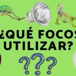 Iluminación recomendada para casas de reptiles en casa con estilo natural