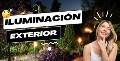 Iluminación recomendada para casas de reptiles en casa en jardines