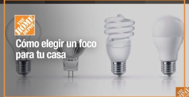 Iluminación recomendada para casas de reptiles en casa en terrazas