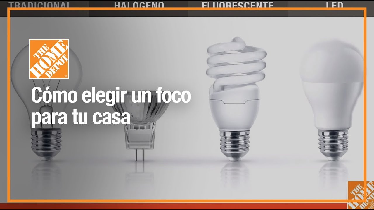 Iluminación recomendada para casas de reptiles en casa en terrazas
