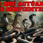 La importancia del comportamiento de caza en reptiles domésticos para niños