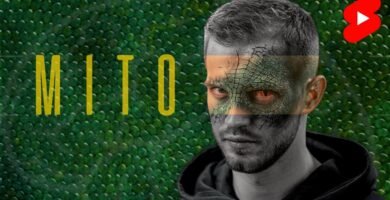 Cómo influye la iluminación en el comportamiento reptiliano durante el día