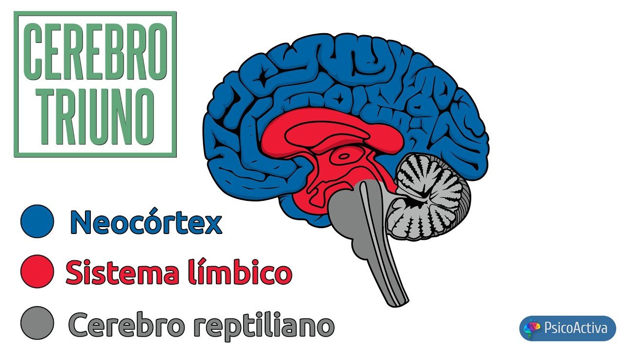 Cómo influye la iluminación en el comportamiento reptiliano en época de muda