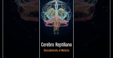 Cómo influye la iluminación en el comportamiento reptiliano en terrarios grandes