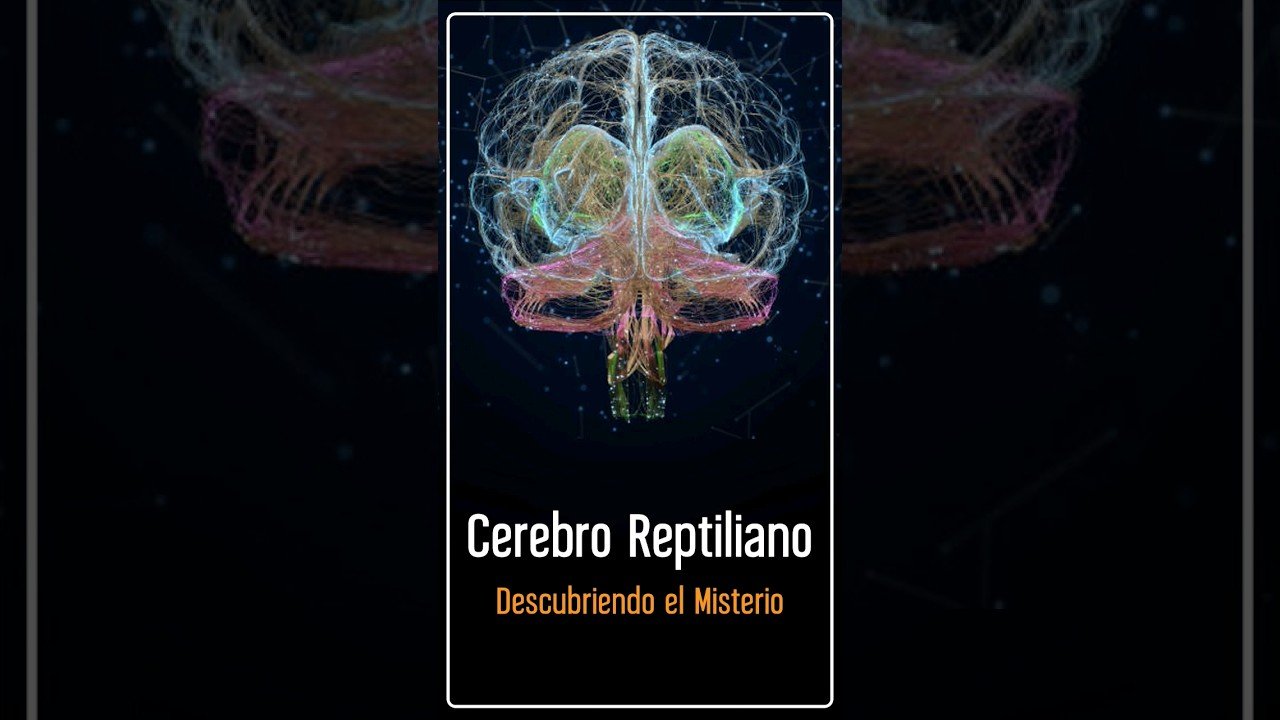 Cómo influye la iluminación en el comportamiento reptiliano en terrarios grandes