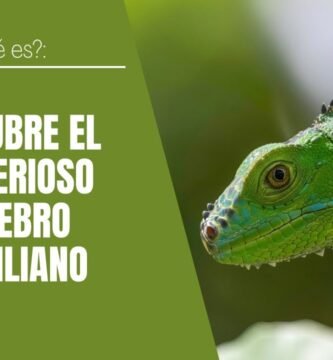 Cómo influye la iluminación en el comportamiento reptiliano para niños