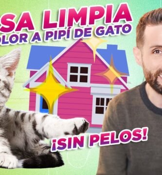 Cómo mantener limpia la casa de tu reptil para departamentos