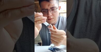 Cómo mantener limpia la casa de tu reptil para geckos