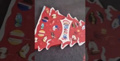 Cómo mantener limpia la casa de tu reptil sin experiencia previa