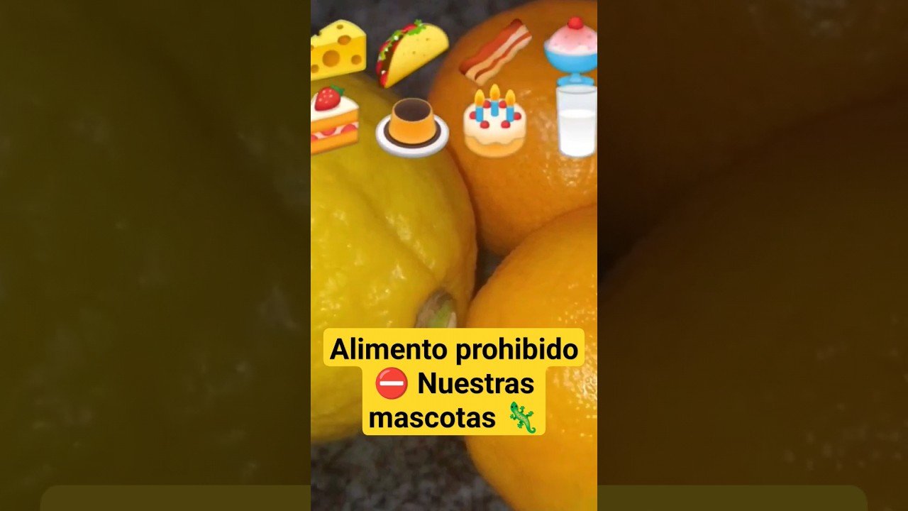 Guía completa para la alimentación saludable de reptiles en época de muda