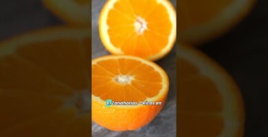 Nutrición para reptiles durante la muda de piel con alimentos naturales