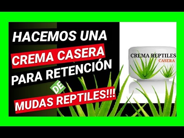 Nutrición para reptiles durante la muda de piel con bajo presupuesto