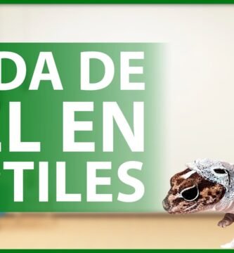 Nutrición para reptiles durante la muda de piel según especie