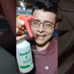 Señales de aburrimiento en reptiles domésticos según su especie