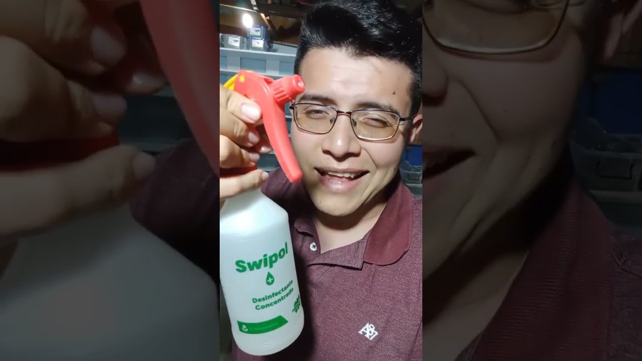 Señales de aburrimiento en reptiles domésticos según su especie