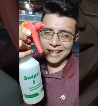 Señales de aburrimiento en reptiles domésticos y cómo solucionarlo