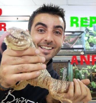 Guía completa para la alimentación saludable de reptiles explicados por expertos